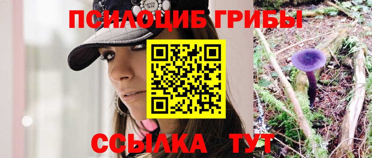 Галлюциногенные грибы Psilocybe Новоалександровск