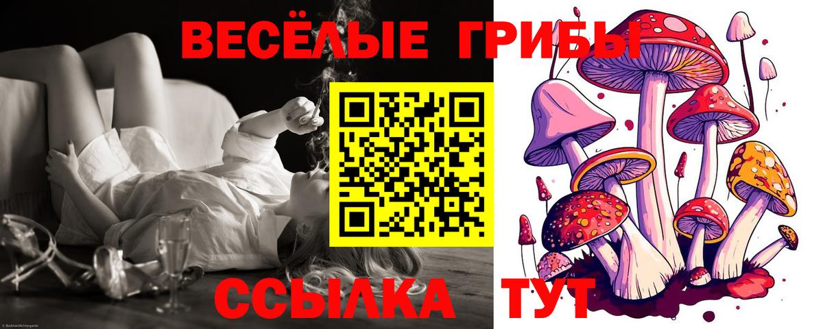 Галлюциногенные грибы Cubensis  купить наркотик  Новоалександровск  Вход с VPN 